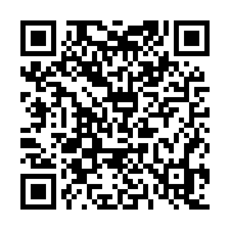 QR code for 411MVO