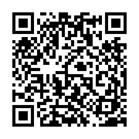 QR code for 411NFH