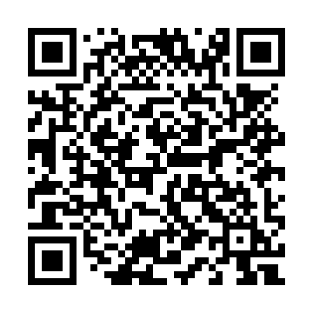 QR code for 411NYI