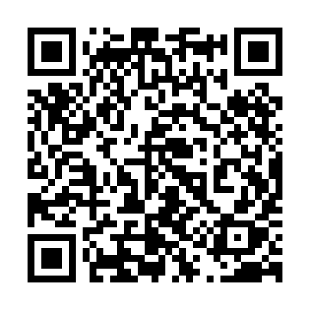 QR code for 411PIX