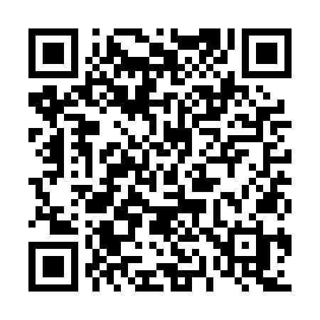 QR code for 411PNH
