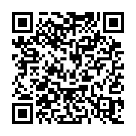 QR code for 411SAC