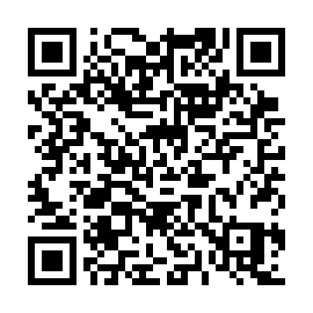 QR code for 411SBQ
