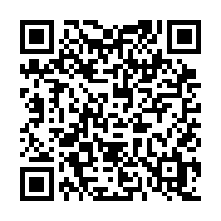 QR code for 411SDL