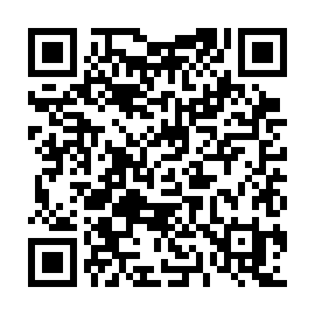 QR code for 411SHI