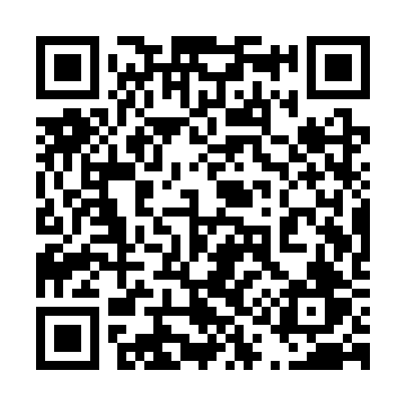 QR code for 411SRV