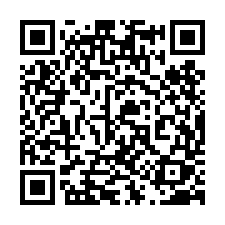 QR code for 411TDY