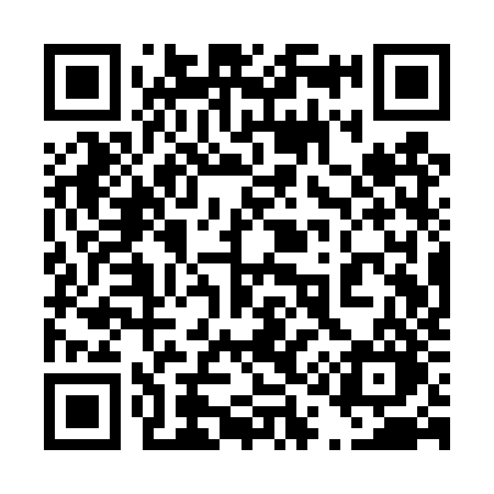 QR code for 411TZO