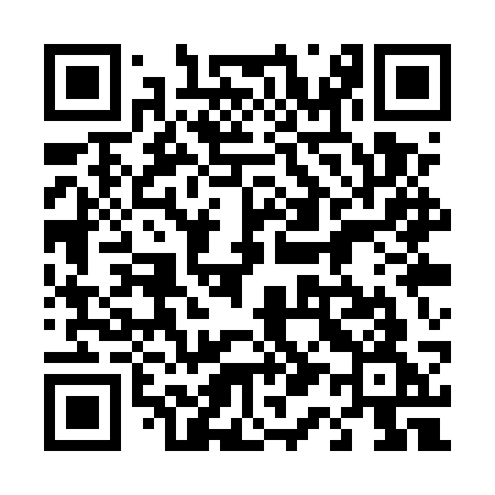 QR code for 411USG