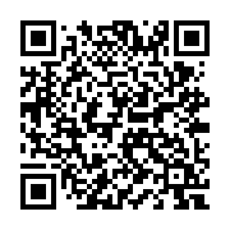 QR code for 411VIV