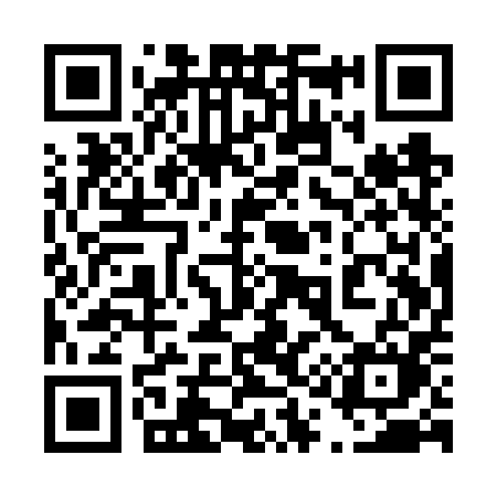 QR code for 411VPM