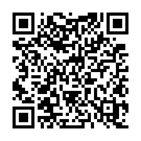 QR code for 411WLH
