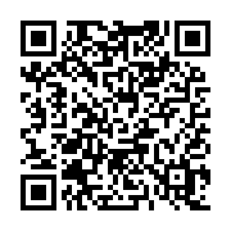 QR code for 411YQL