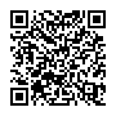 QR code for 413SFA