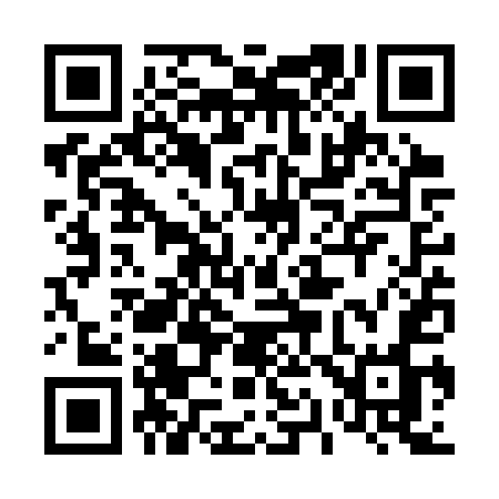 QR code for 413SUO