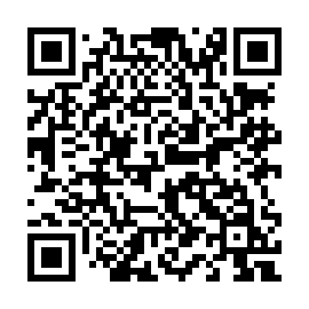 QR code for 419LAN
