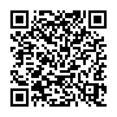 QR code for 419PIS