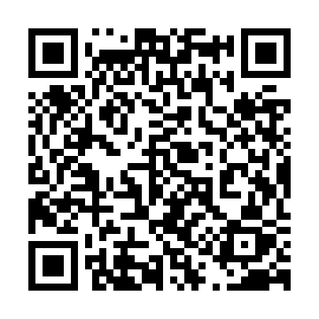 QR code for 419ZSZ