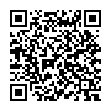 QR code for 425BUR