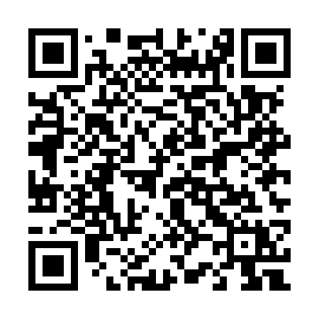 QR code for 425MSX
