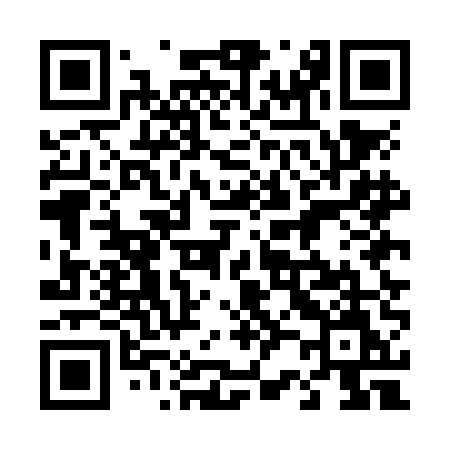 QR code for 425NEM