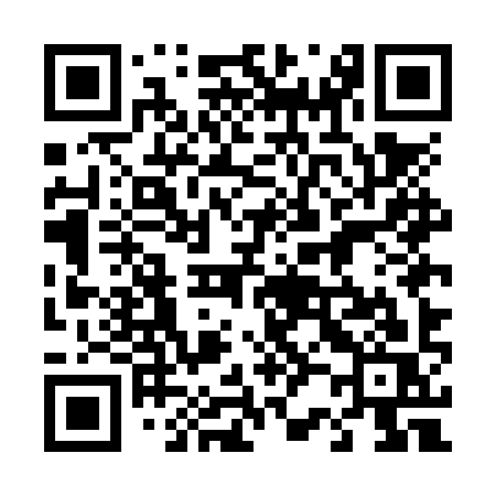QR code for 425NYS