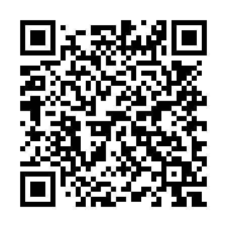 QR code for 425NYT