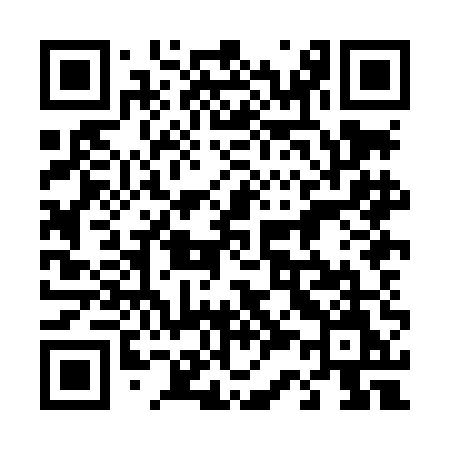 QR code for 438LEM