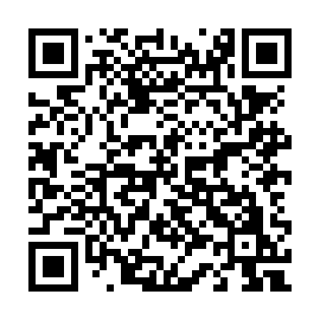 QR code for 438NAO