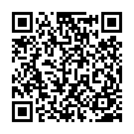QR code for 439DUT