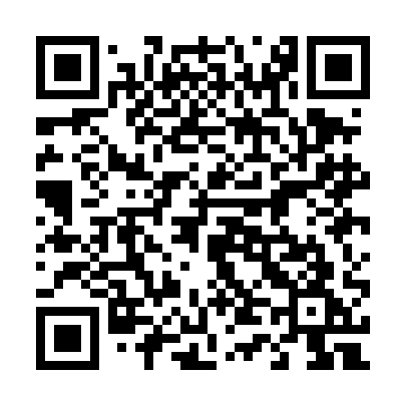 QR code for 441DAG