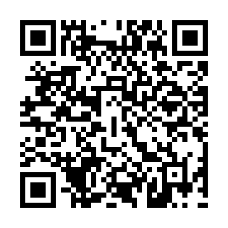 QR code for 441GOL