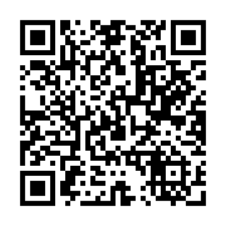 QR code for 441LGI