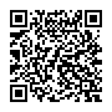 QR code for 441SUS