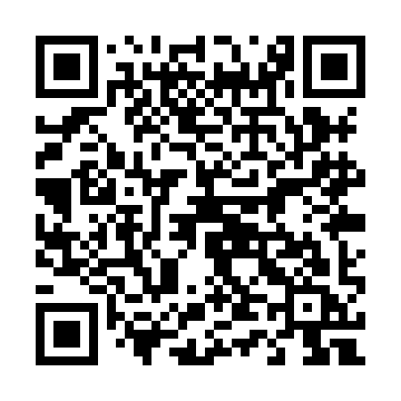 QR code for 441XIC