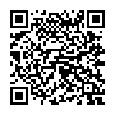 QR code for 449PLA