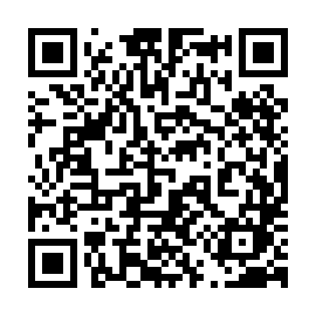 QR code for 451PLM