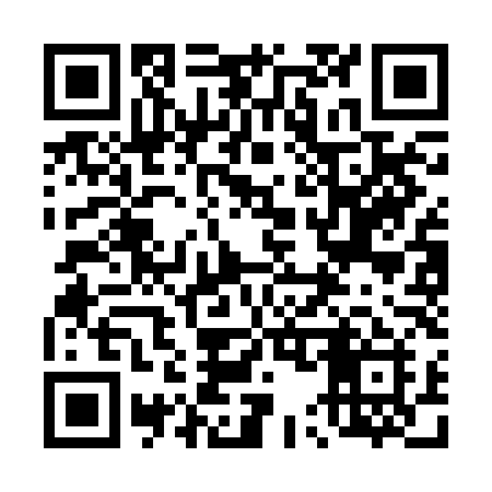QR code for 453BLI