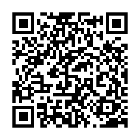 QR code for 453IFX