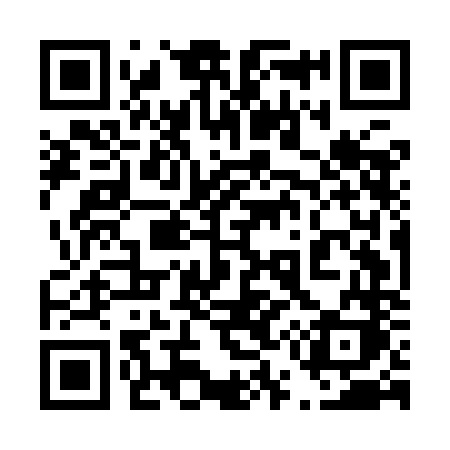 QR code for 455INK