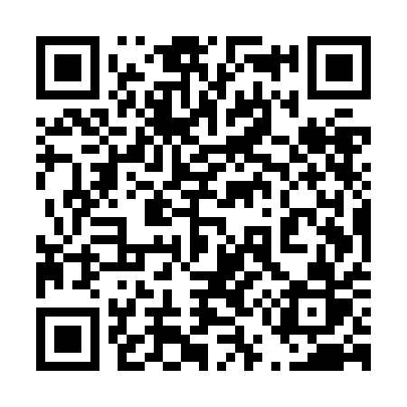 QR code for 455ZAR