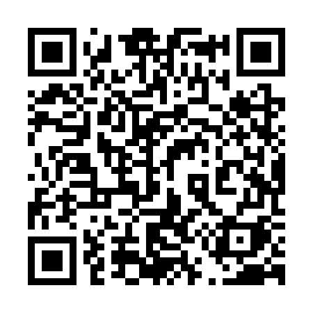 QR code for 458SWI