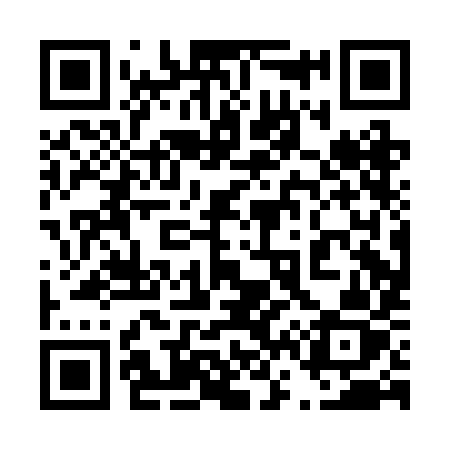 QR code for 460BIZ