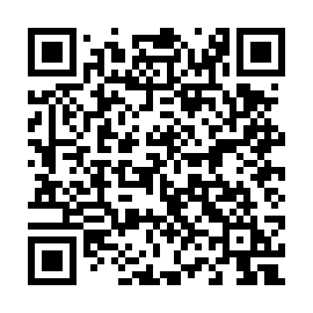 QR code for 460DSI