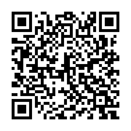 QR code for 460IFL