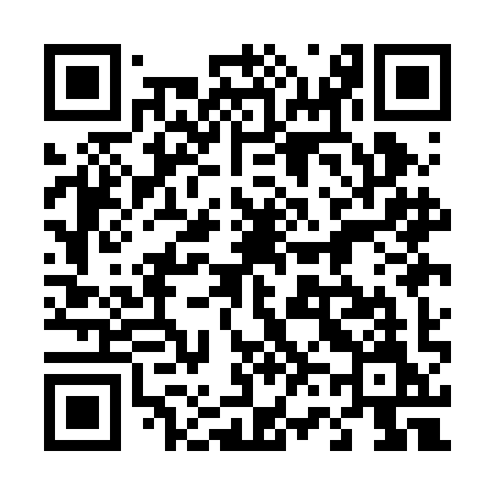 QR code for 461BIM
