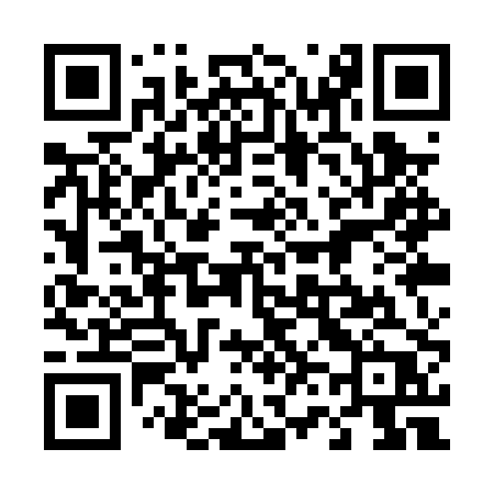 QR code for 461PPP