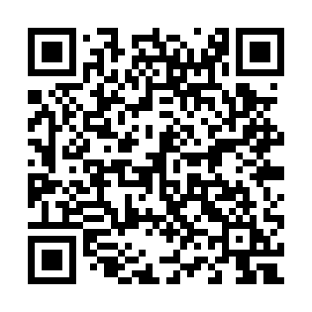 QR code for 461PQI