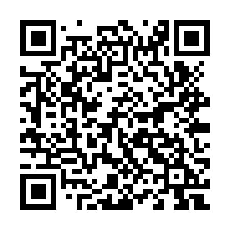 QR code for 461ZZE