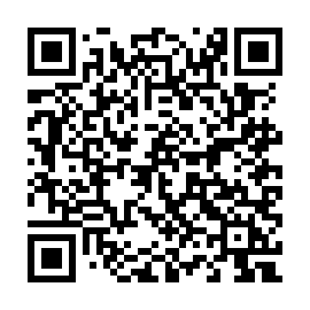 QR code for 462OLH